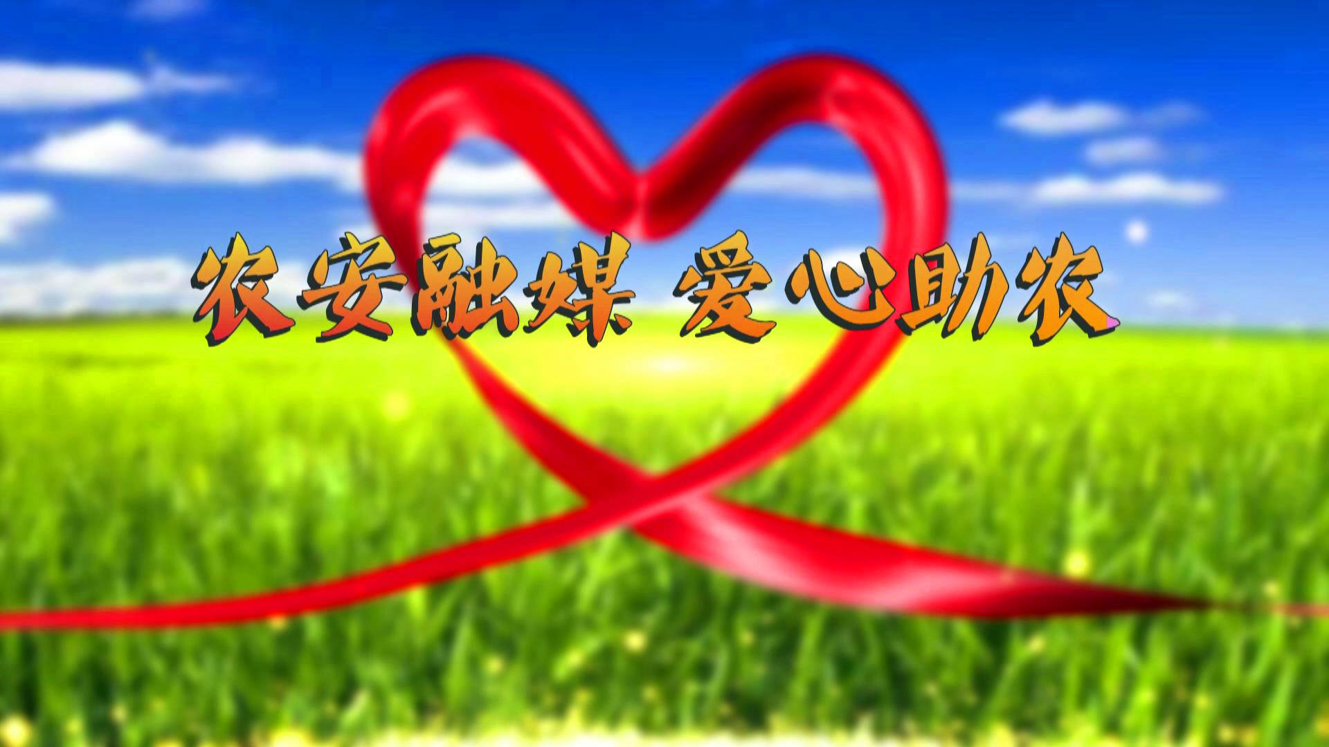 【农安融媒 爱心助农】30000斤胡萝卜寻销路 解燃眉之急