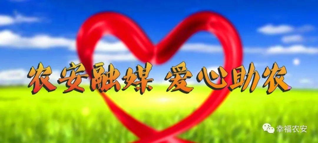 【农安融媒  爱心助农】一年四季有机芽苗菜！等你尝鲜！