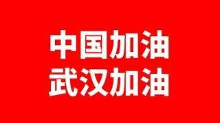 坚决打赢湖北保卫战、武汉保卫战