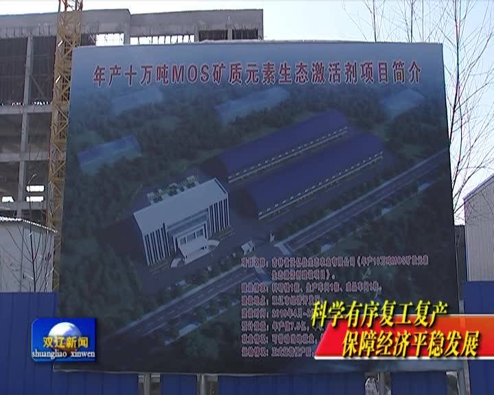 王忠源就重点项目建设进行现场办公并检查企业复工复产情况