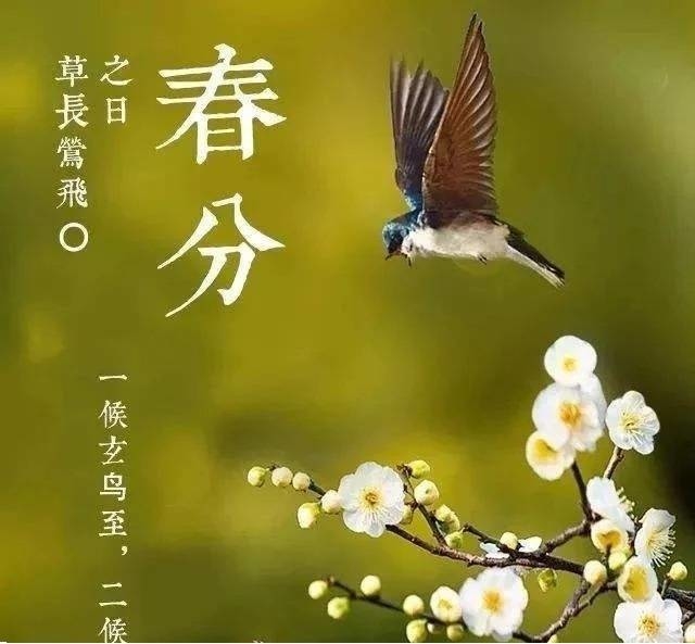 春分时节的民俗与养生