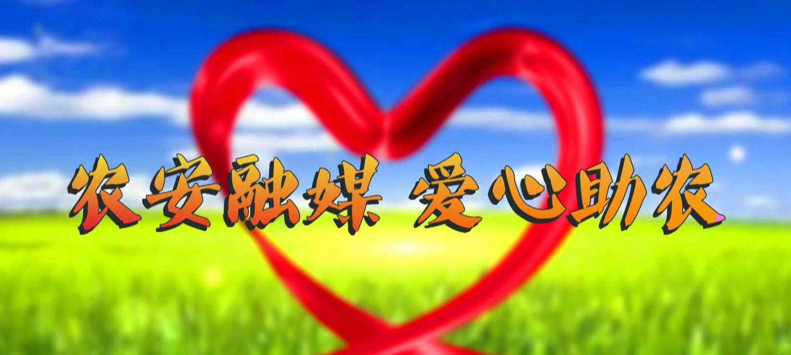 【农安融媒 爱心助农】笨鹅蛋销售 想吃鲜蛋早点订购