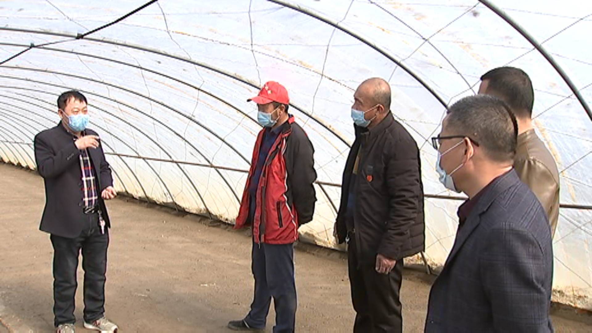 市水稻研究所技术人员指导农民进行水稻育苗等工作