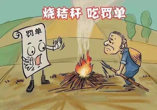 焚烧秸秆将受到哪些处罚？这里有详细的法律规定！