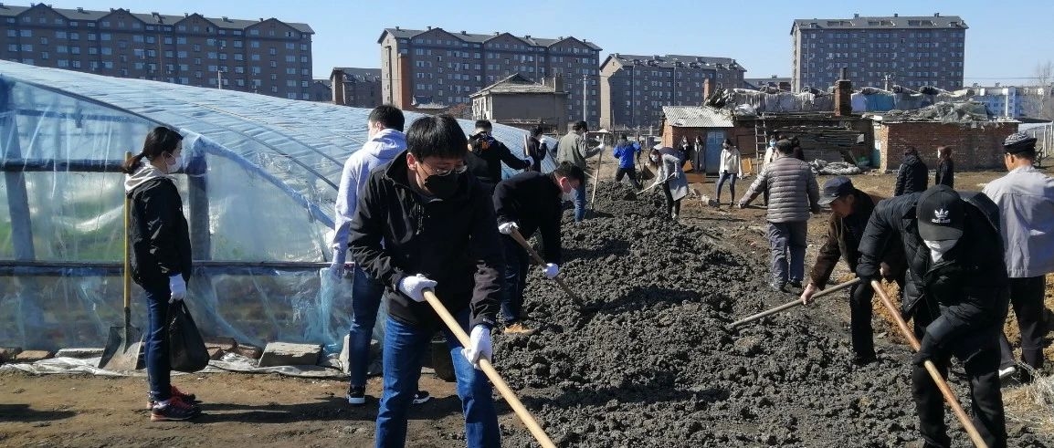 【脱贫攻坚】龙井市商务局志愿服务队为菜农铺平春耕备耕路