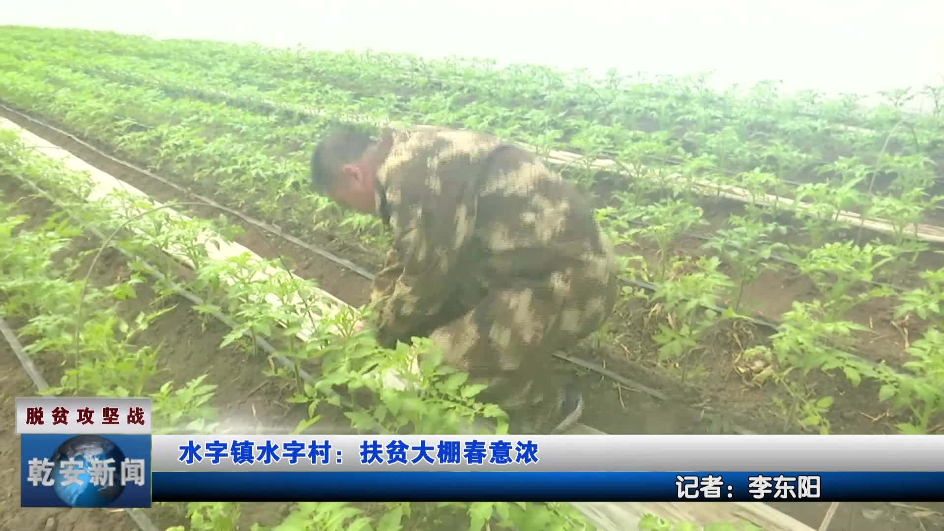 20200331新闻