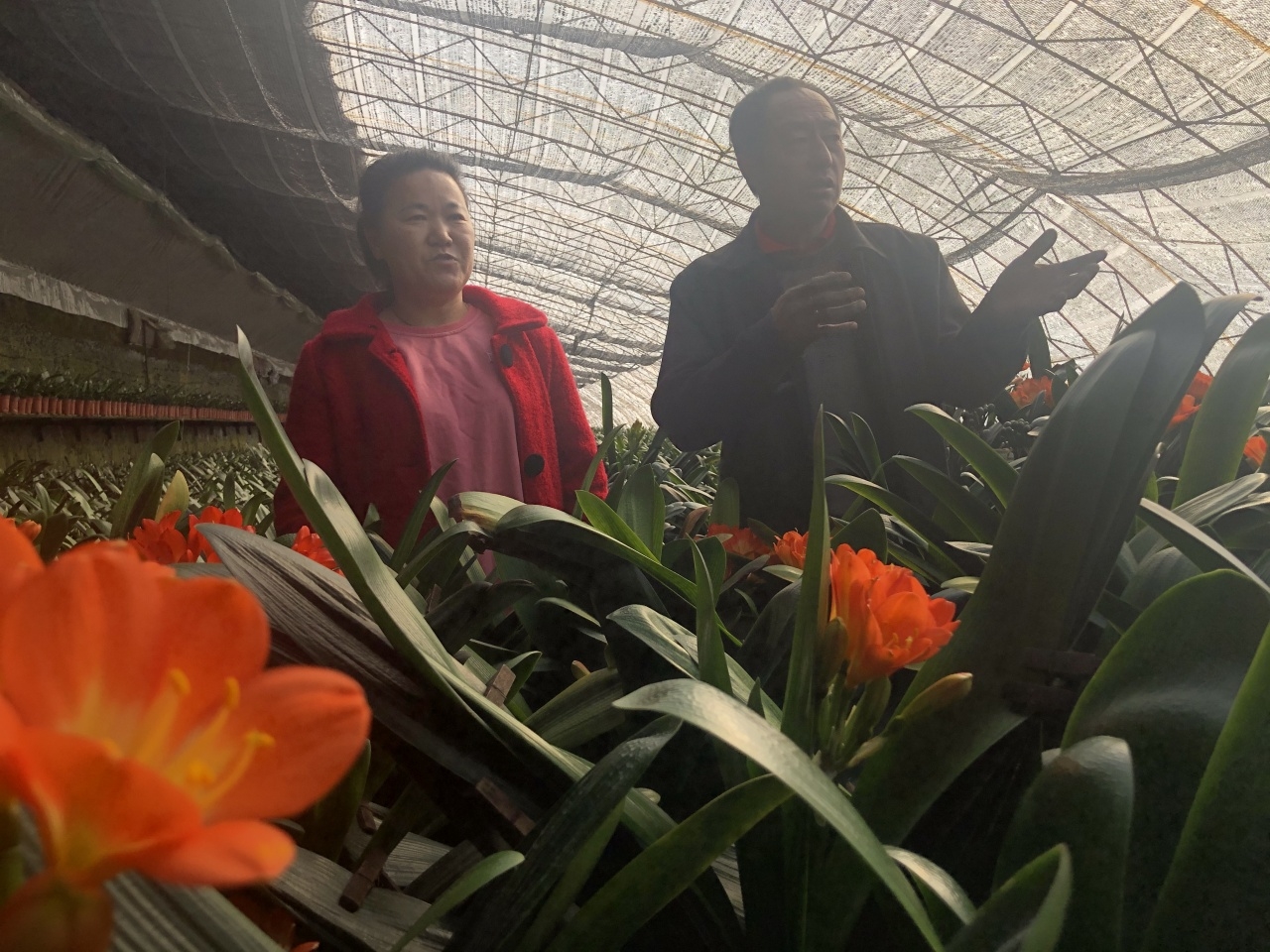 微信图片_20200407113214.jpg