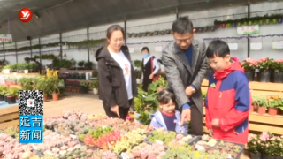 春天来临 花卉消费回暖