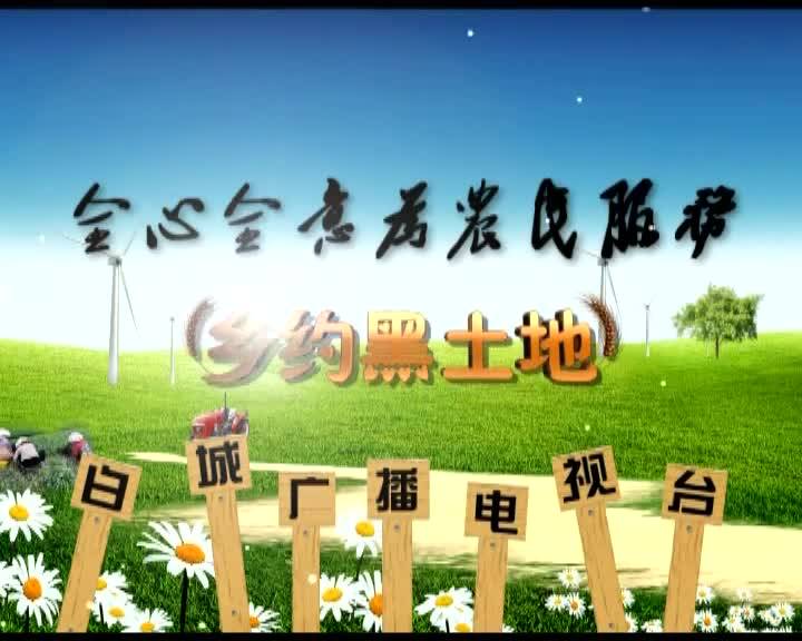 3月16日 乡约黑土地 （下）