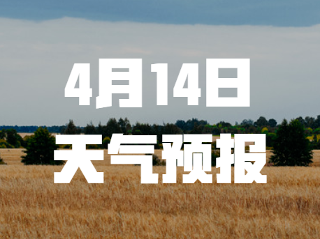 【气象应急服务】森林火险黄色预警！4月14日龙井市天气预报