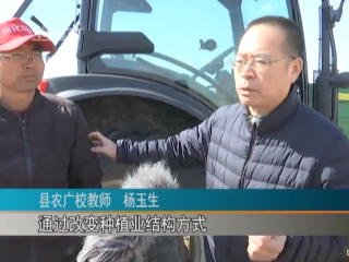 长岭：春播第一犁