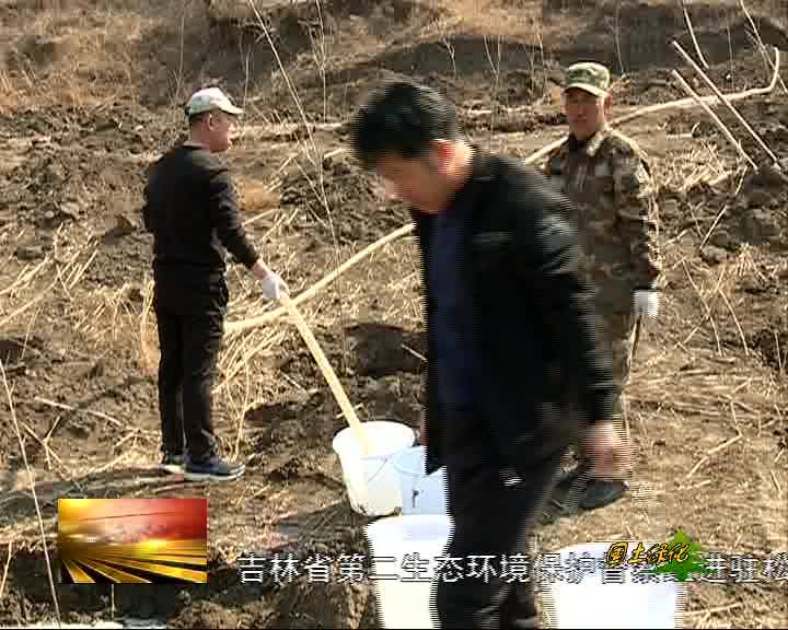 党员干部植树忙 荒山荒坡添新绿