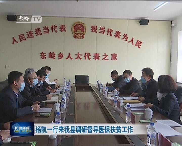 杨凯一行来我县调研督导医保扶贫工作