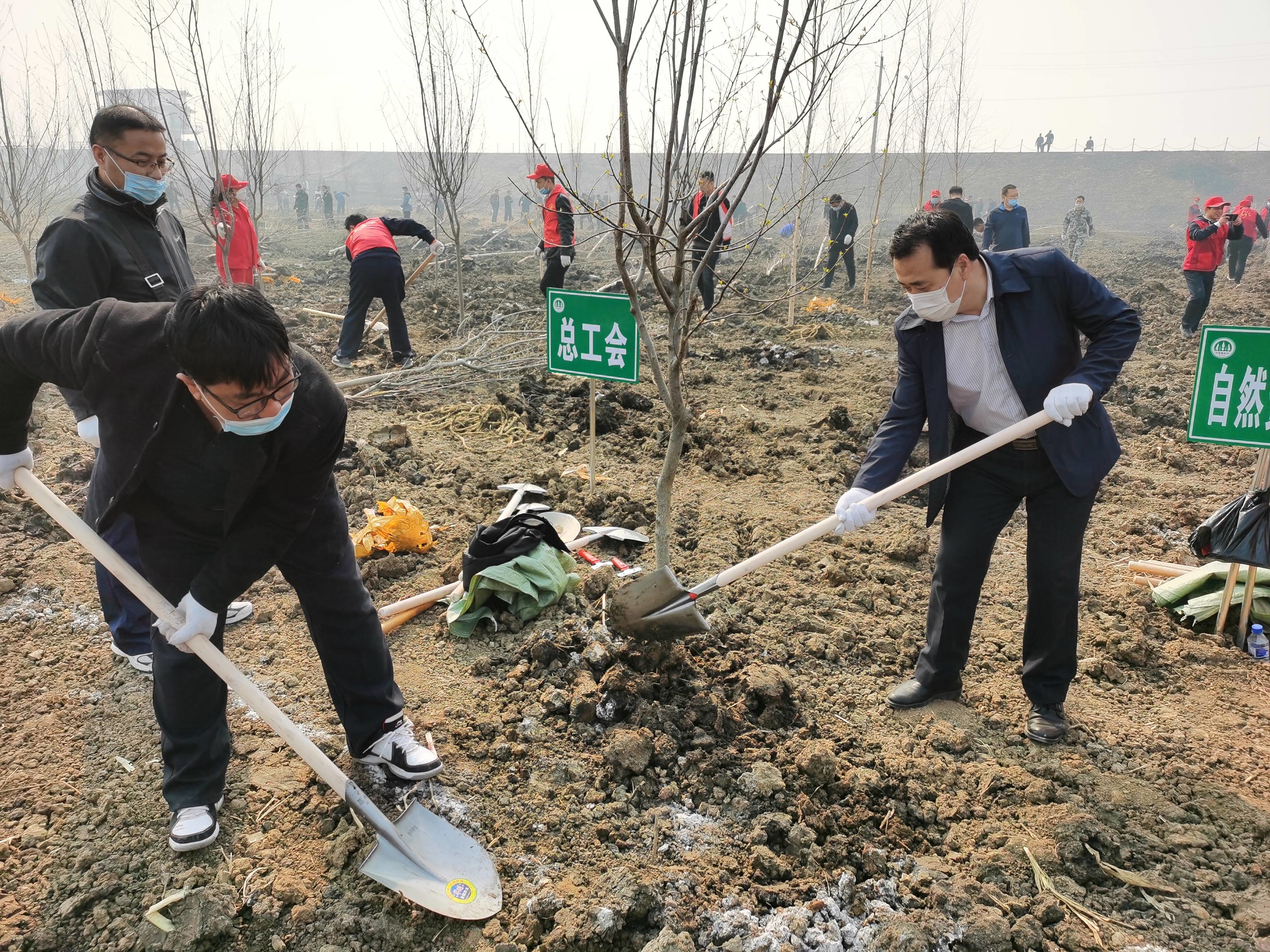 县总工会积极参加义务栽植“公仆林”植树活动