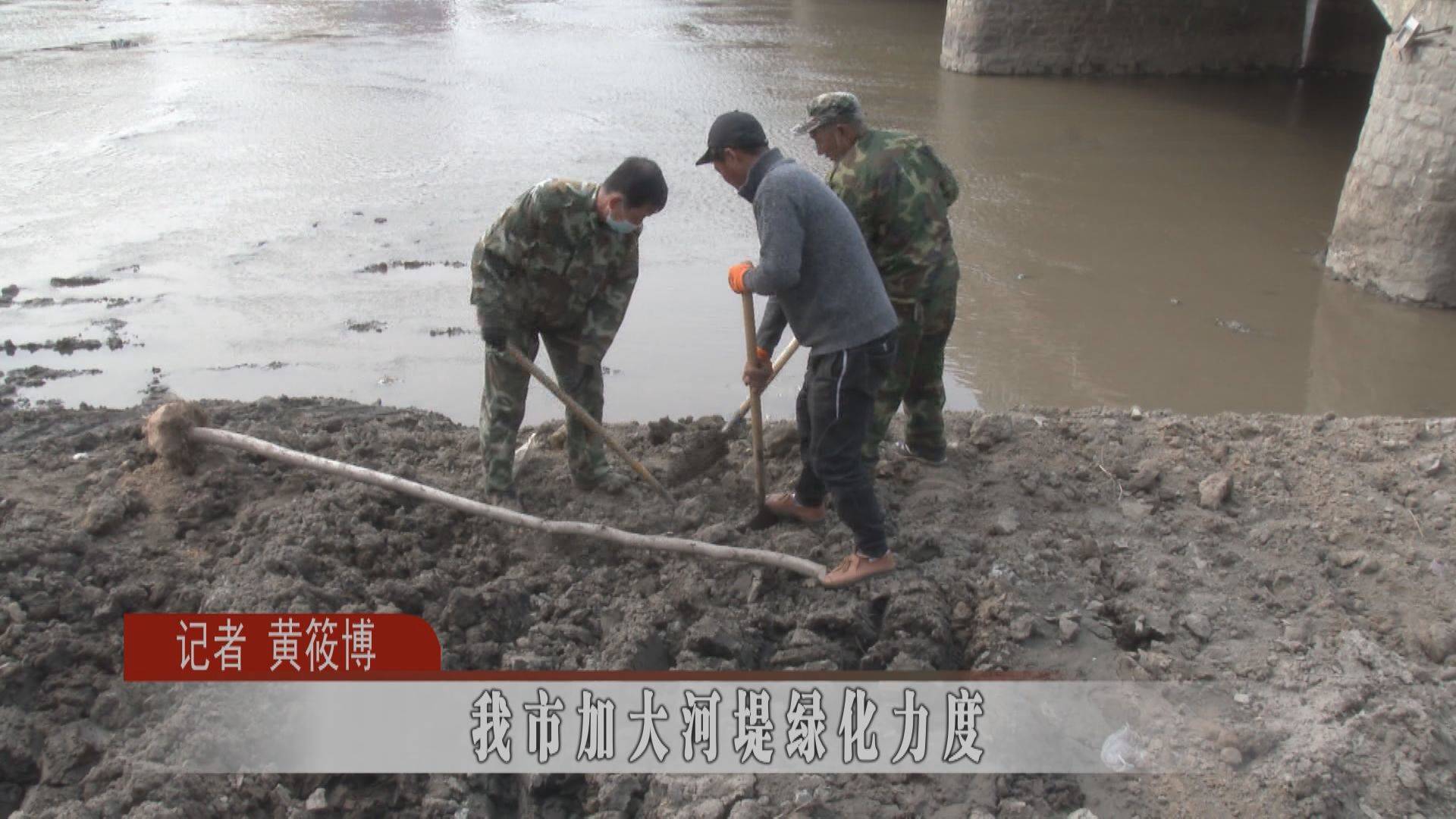 蛟河市加大河堤绿化力度