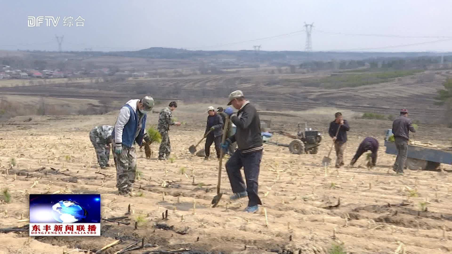 【坚定步伐 迎接春天】黄河镇百万亩造林工程有序推进