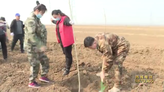 视频快讯丨人人植下一片绿 共建美丽新环境