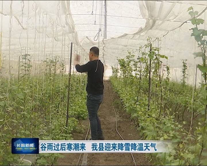 谷雨过后寒潮来 长岭县迎来降雪降温天气