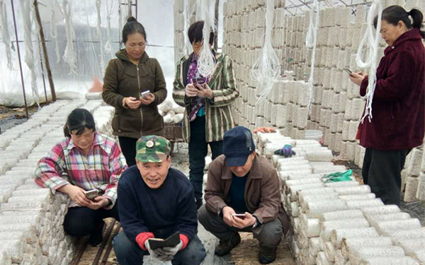 【书香蛟河 全城阅读】蛟河市黄松甸镇开展数字农家书屋“阅读助农”活动