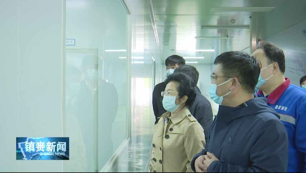 镇赉县领导深入我县企业进行调研