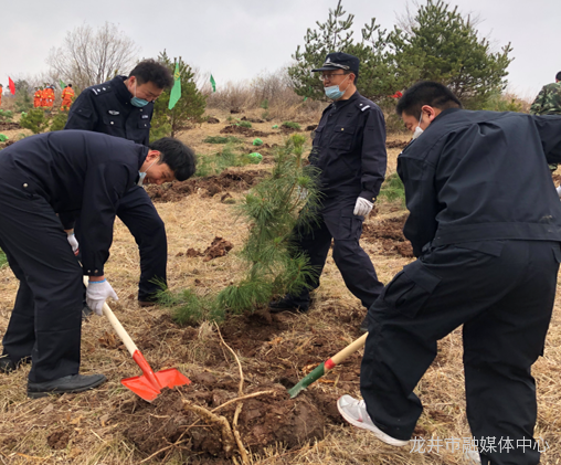 融媒快讯 | 龙井市林业局开展“义务植树，党员先行”主题党日活动