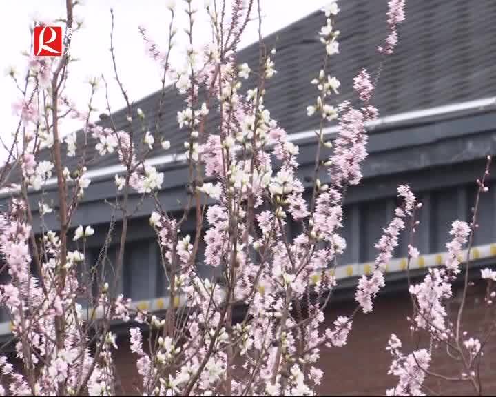 【龙井新闻】本周天气回暖加速 有零星阵雨