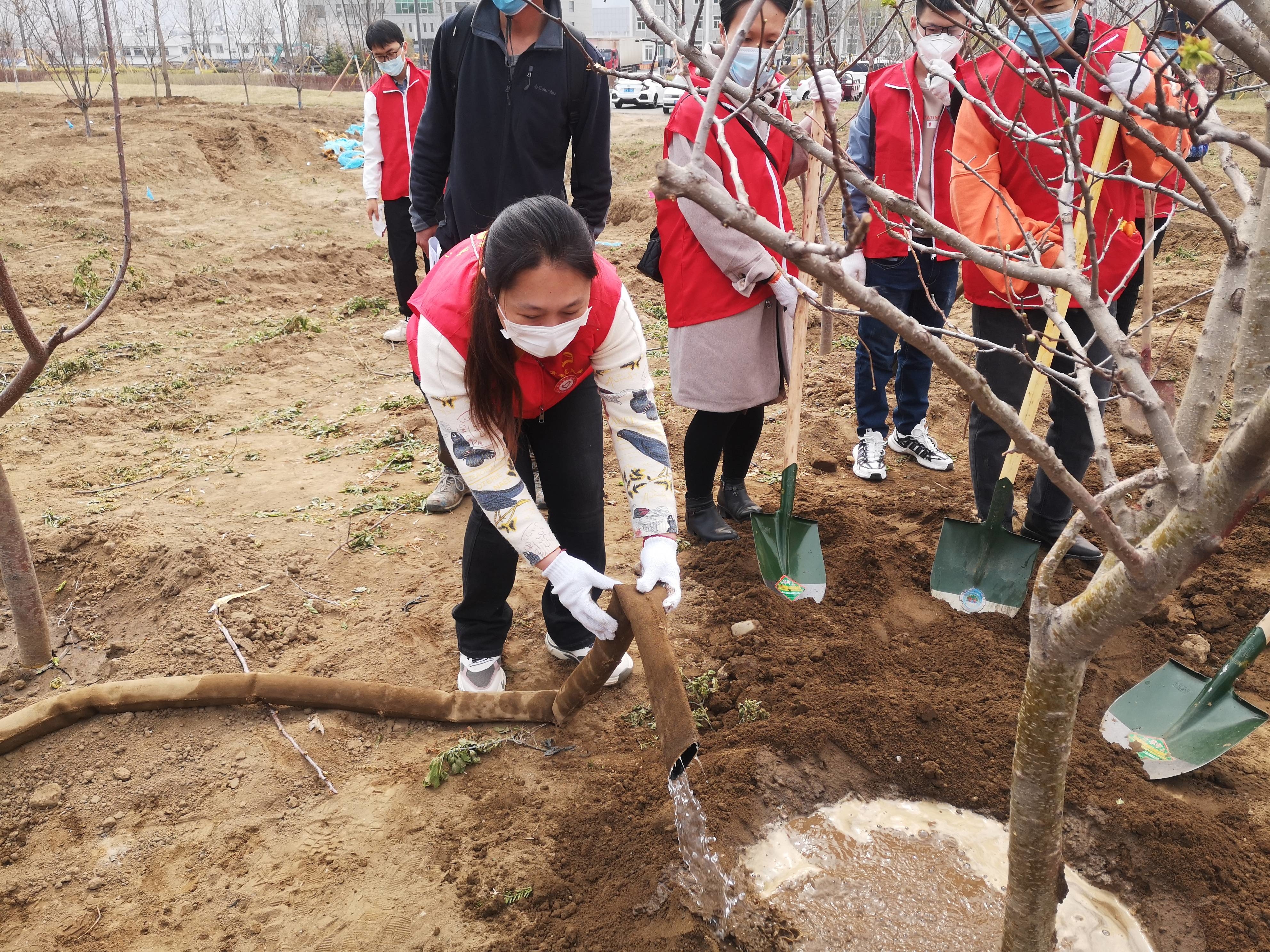 集安市团市委开展“拥抱春天 播种希望”植树活动