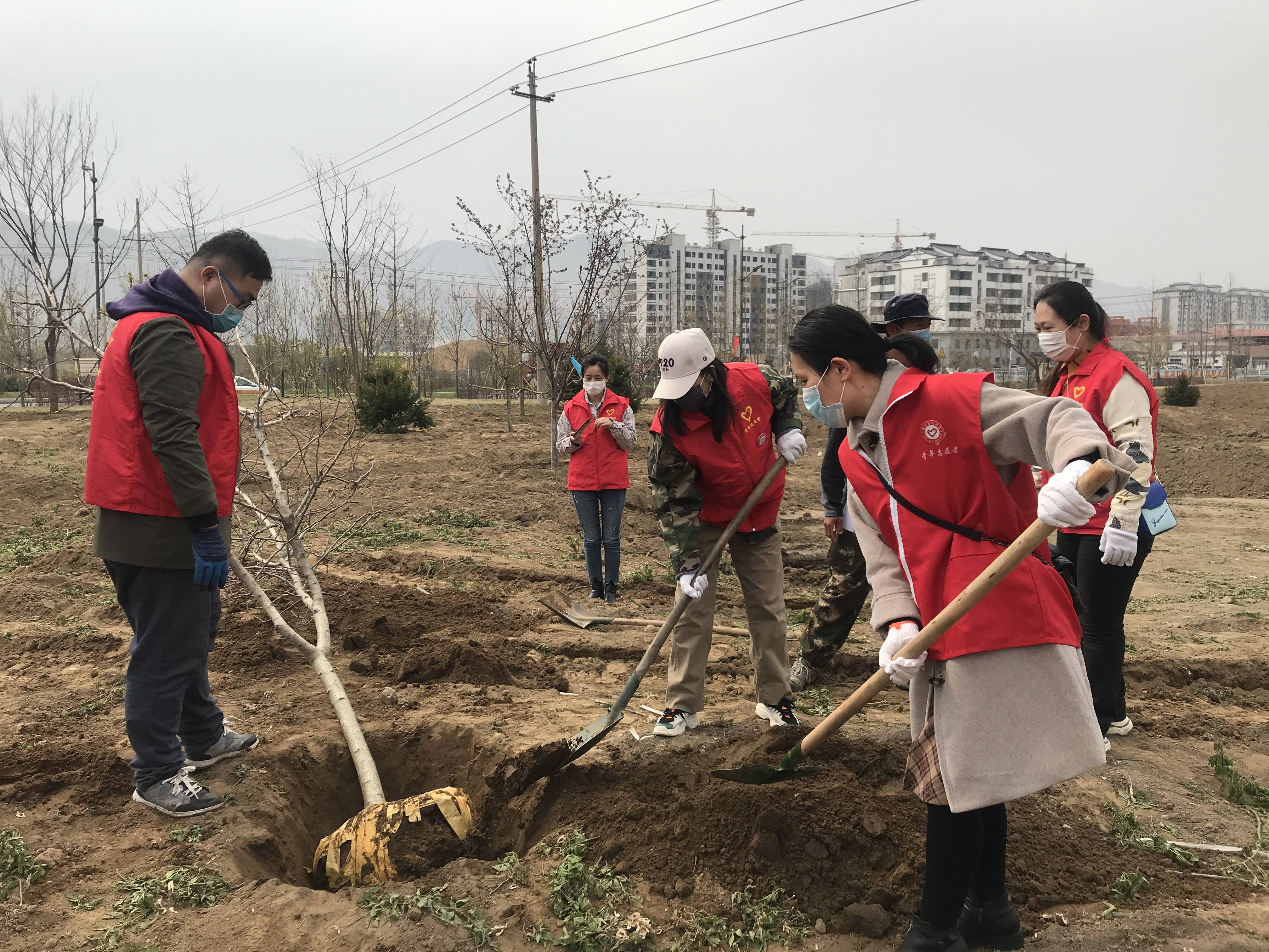 集安：团市委开展“拥抱春天 播种希望”植树活动