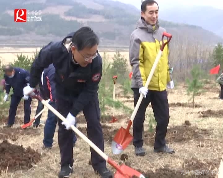 【龙井新闻】添新绿 美家园——我市开展义务植树活动