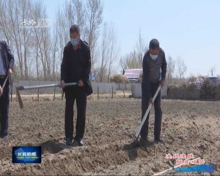 【决战决胜脱贫攻坚】长岭：谷子地里种愿景