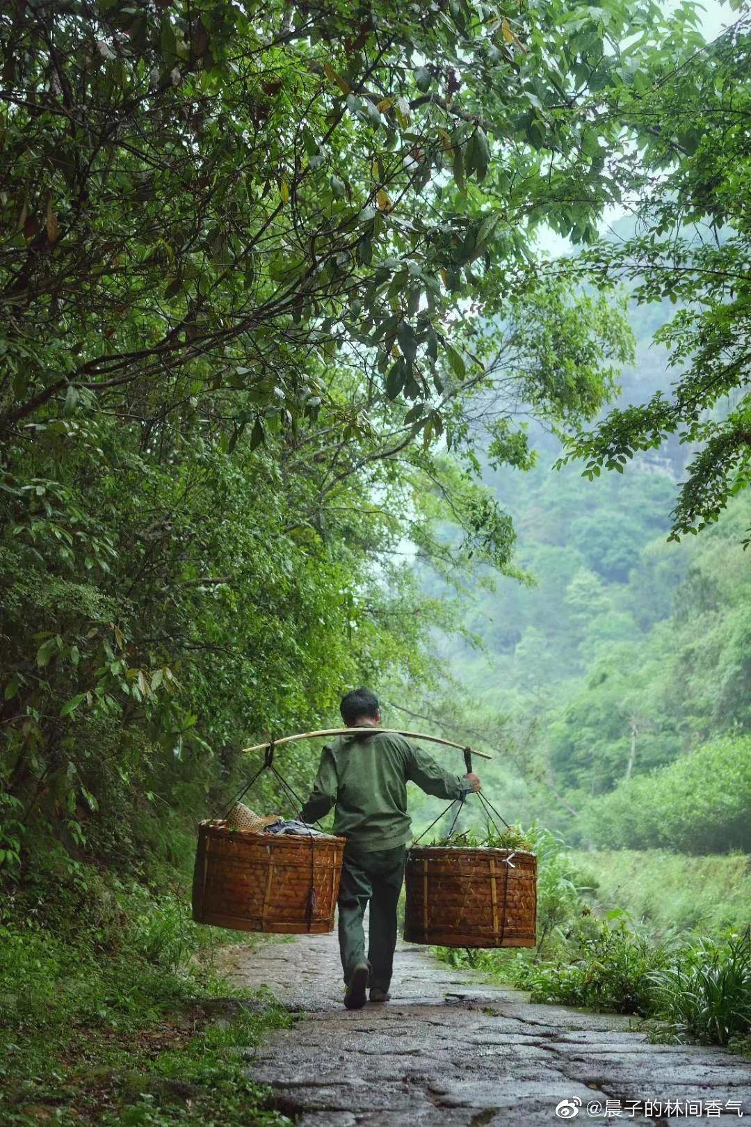 治愈 | 这五天，不可错过的50个美妙瞬间（五）