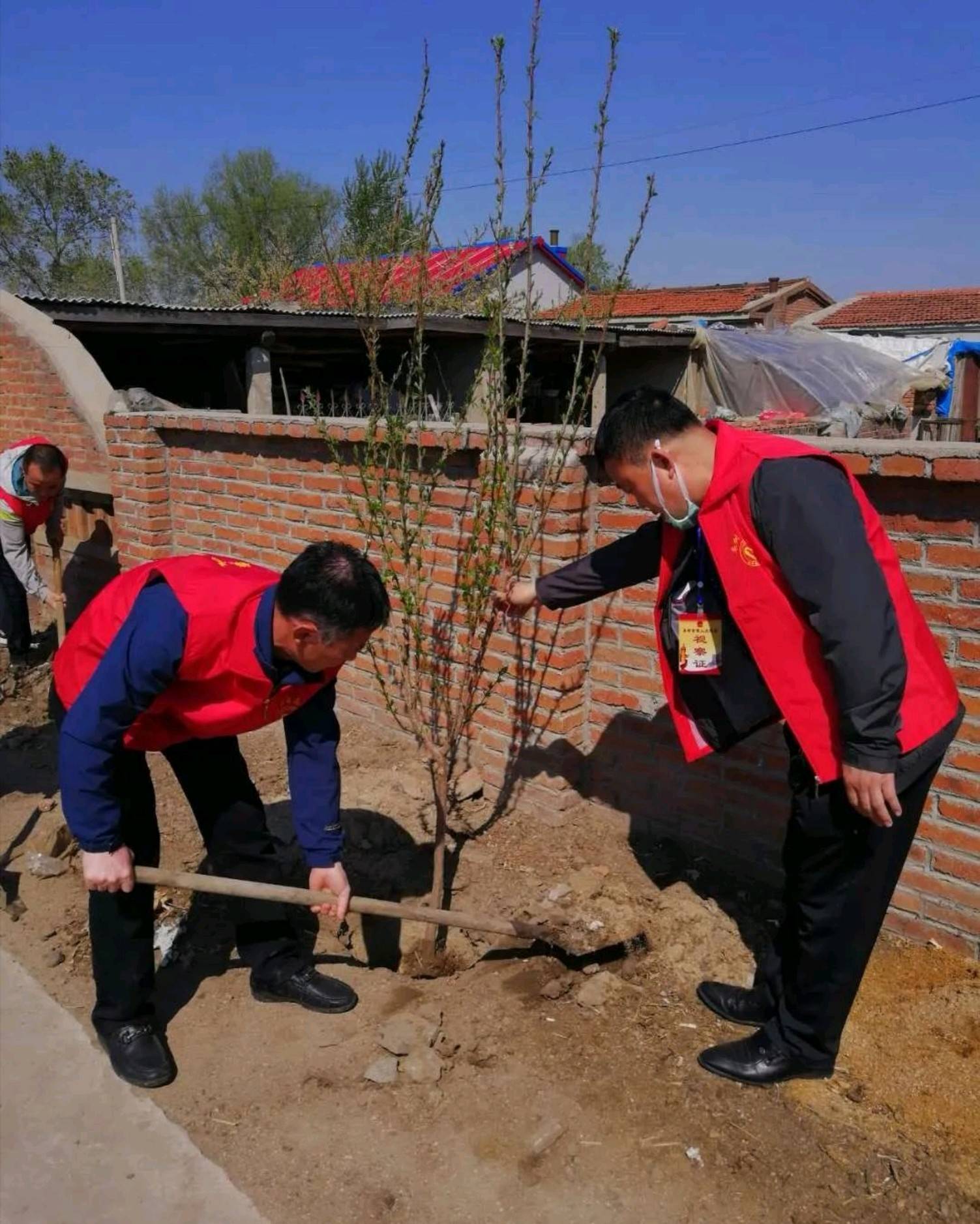 春季义务植树志愿服务活动