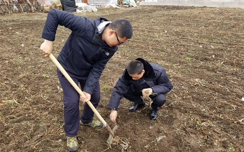 【决胜全面小康 决战脱贫攻坚——向人民报告】共青团蛟河市委到黄松甸镇双山村开展扶贫走访活动