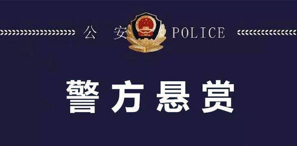 松原警方发布悬赏通告！提供线索奖五万元！