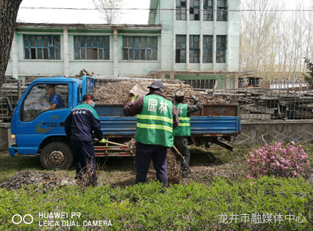 融媒快讯 | 龙井市住建局持续开展绿化清理工作