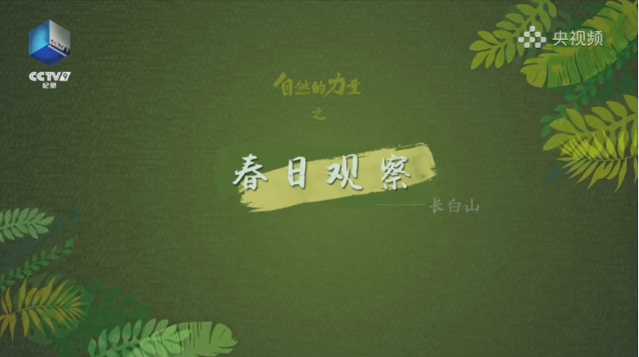 春日观察·长白山