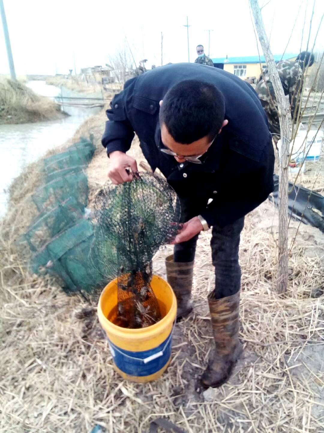 镇赉：稻田扣蟹越冬培育获得成功