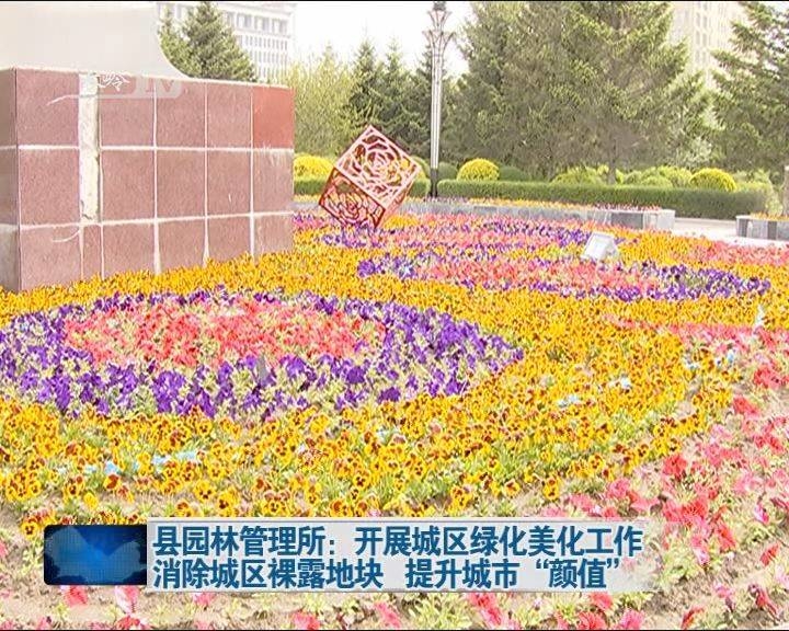 长岭县园林管理所：开展城区绿化美化工作 消除城区裸露地块 提升城市“颜值”
