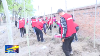 视频快讯丨铁北街道：义务植树添新绿 心系居民暖人心