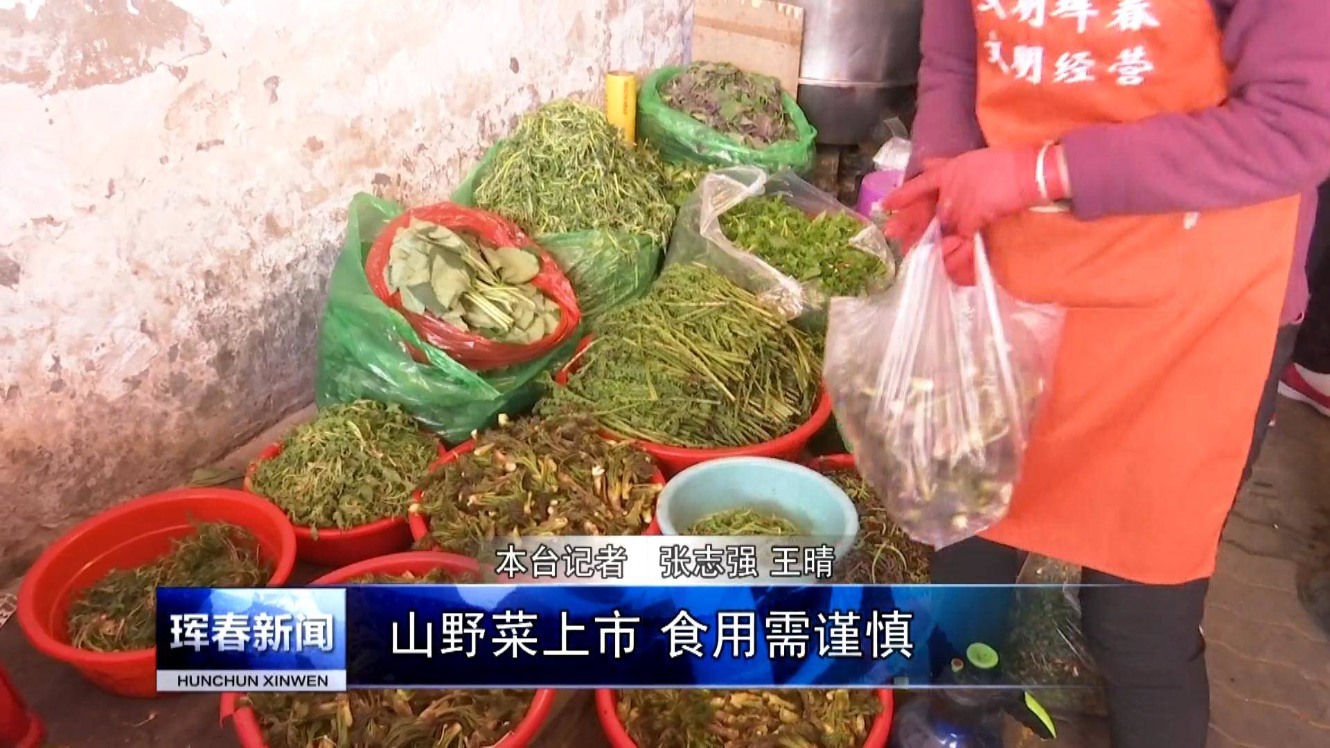 山野菜上市 食用需谨慎