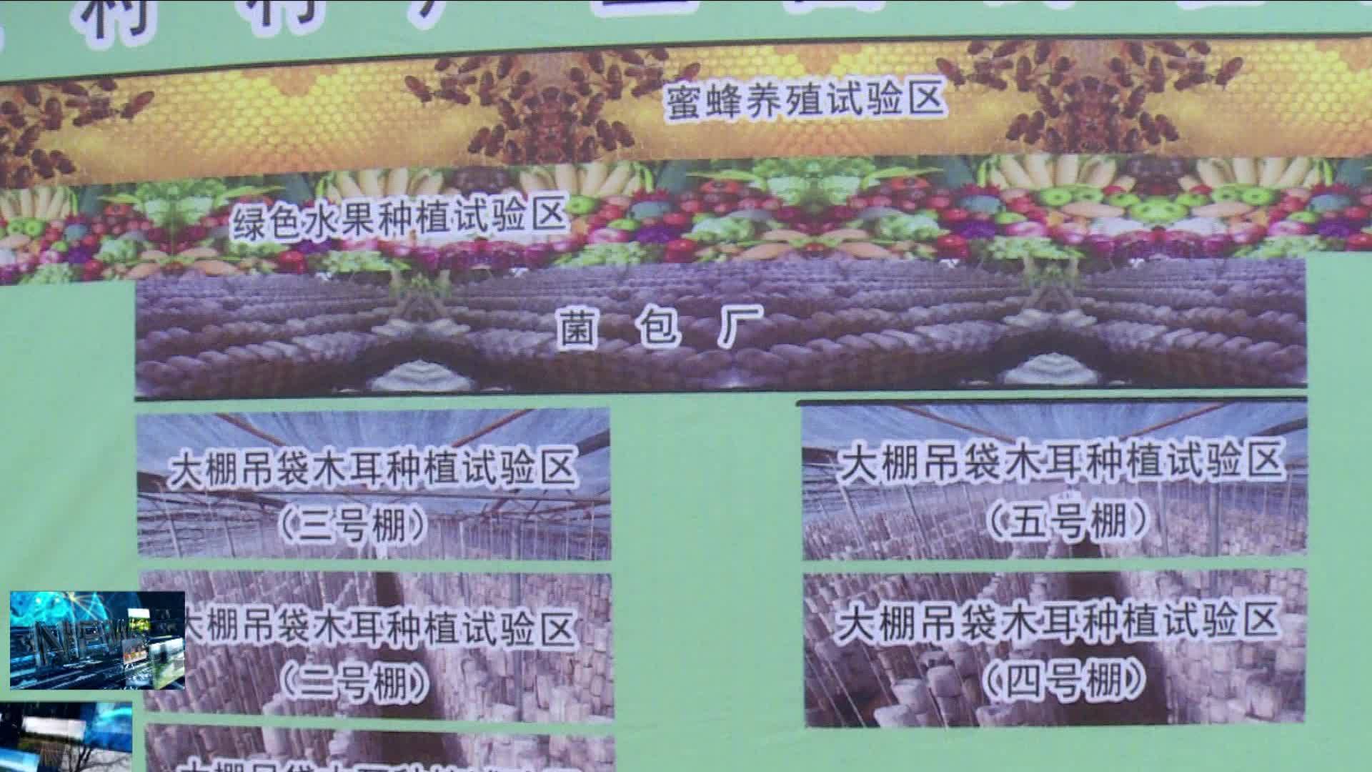 05月20日《决战决胜脱贫攻坚》大兴沟镇上村：产业转型 带动村民增收致富