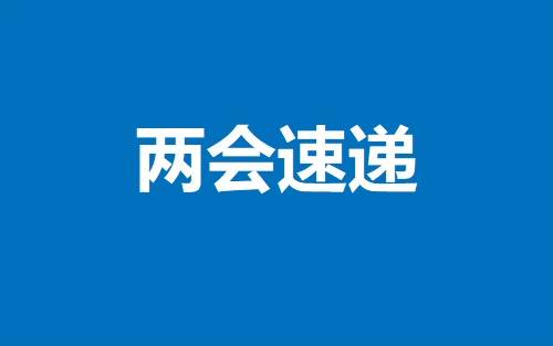 建言献策 凝心聚力 住吉全国政协委员热烈讨论政府工作报告