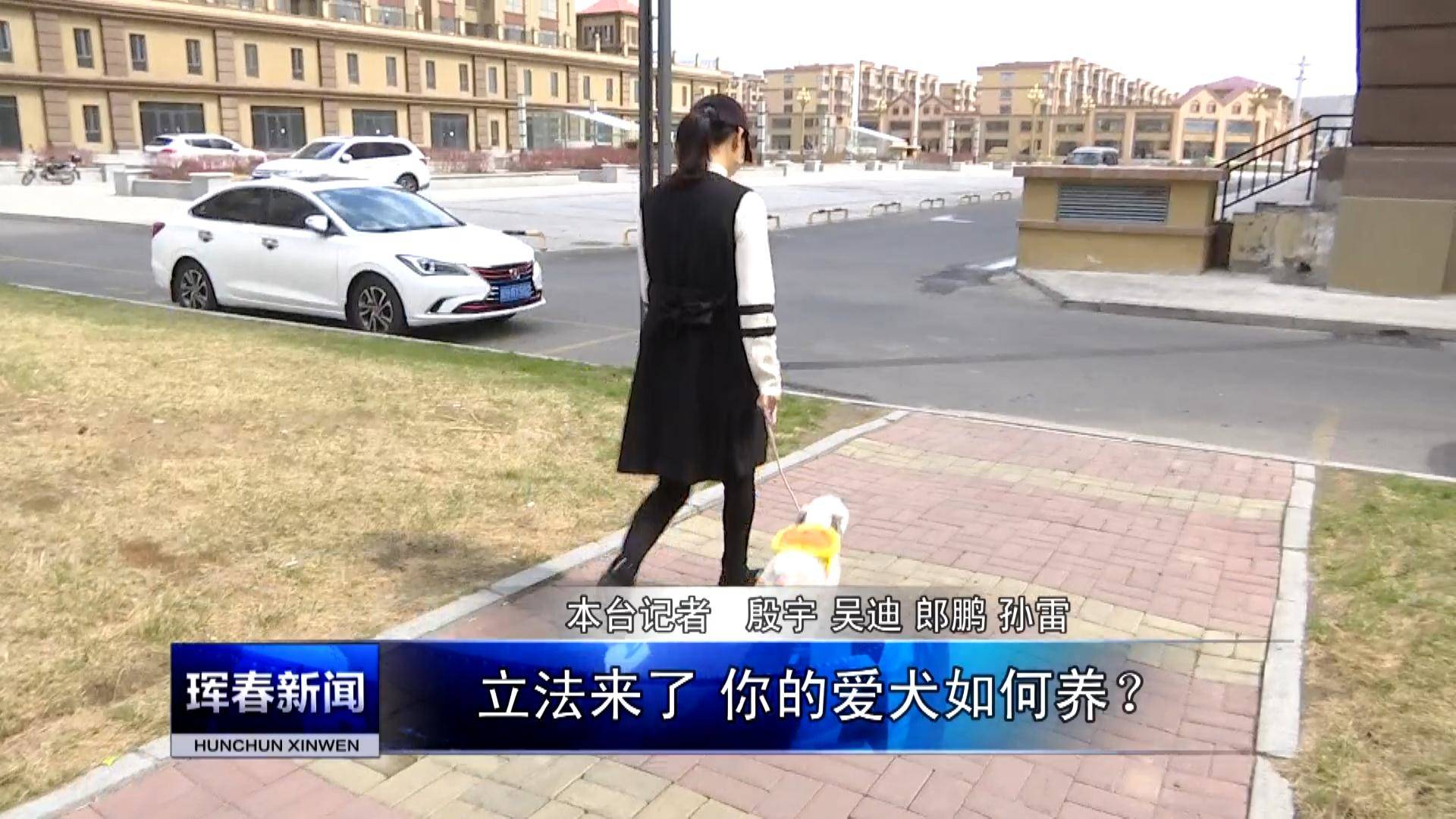 《民生热线》立法来了 你的爱犬如何养？