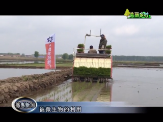 朝阳乡大力推广水稻高产高效机械化插秧技术