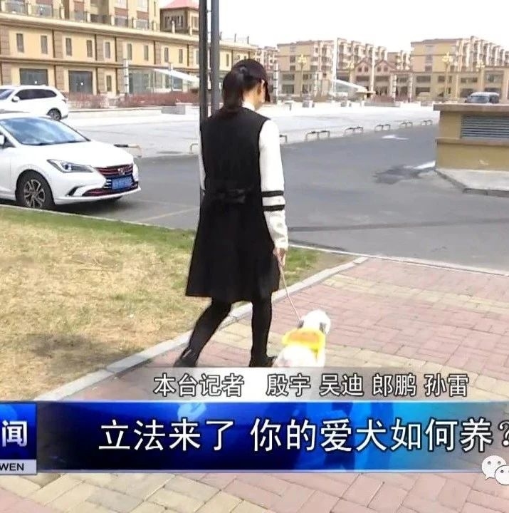 立法来了 你的爱犬如何养？