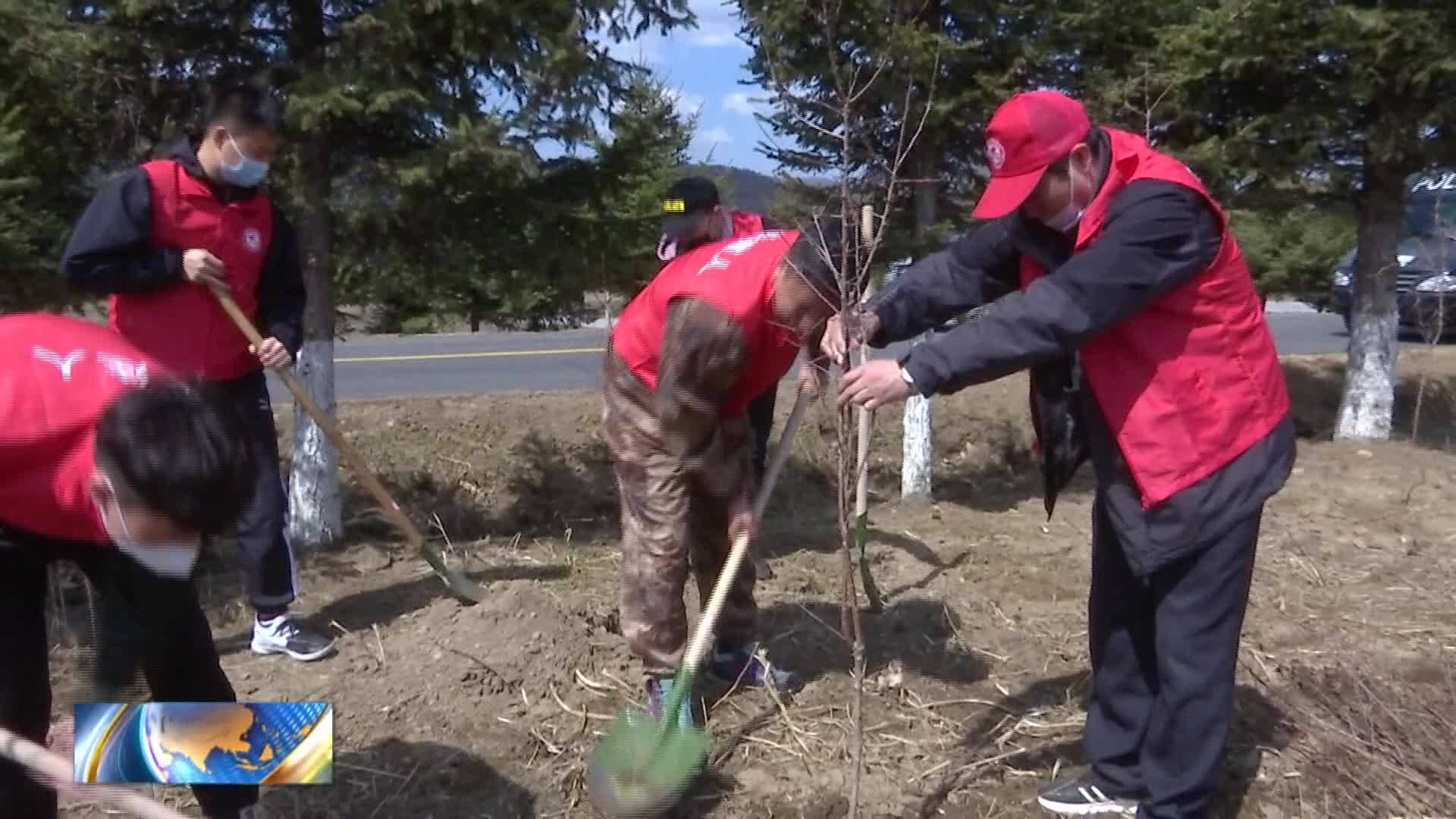 我县开展党政机关义务植树活动