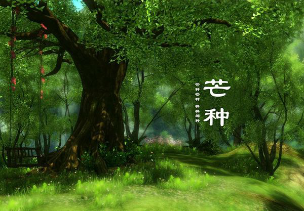 芒种 “仲夏夜之梦”从养生开始