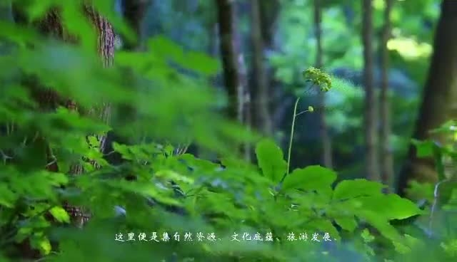 【书记代言】  向阳镇党委书记黄家维为向阳镇代言
