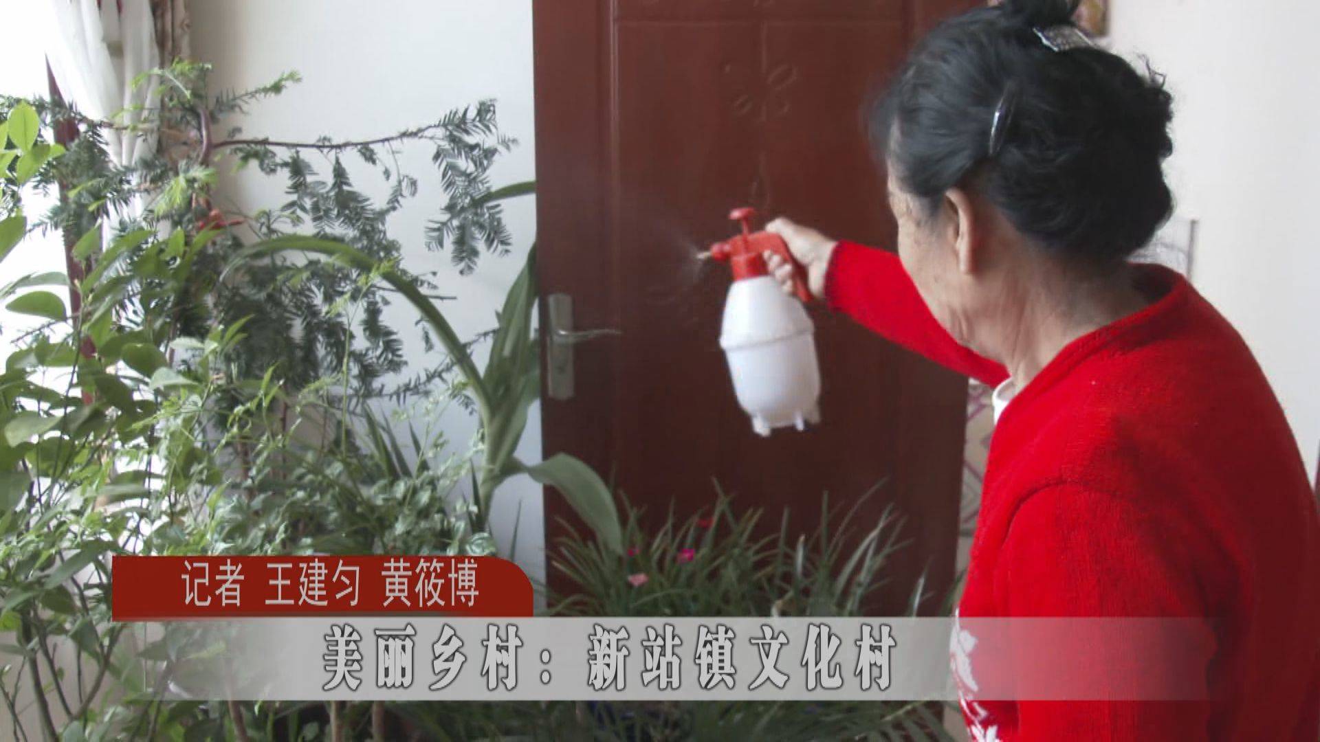 【干干净净迎小康】美丽乡村：蛟河市新站镇文化村