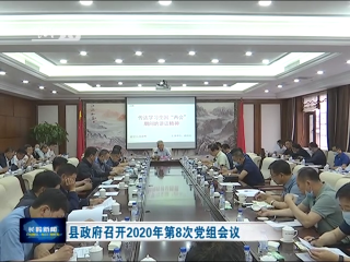 县政府召开2020年第8次党组会议